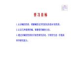2.2 堿及其性質(zhì) 課件---2023--2024學(xué)年九年級(jí)化學(xué)魯教版（五四學(xué)制）全一冊(cè)