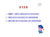 5.1 食物中的有机物 课件---2023--2024学年九年级化学鲁教版（五四学制）全一册
