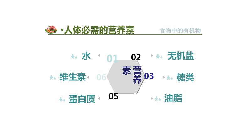 第一节  食物中的有机物第6页