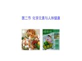 5.2 化学元素与人体健康 课件---2023--2024学年九年级化学鲁教版（五四学制）全一册