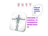 5.2 化学元素与人体健康 课件---2023--2024学年九年级化学鲁教版（五四学制）全一册