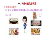 5.2 化学元素与人体健康 课件---2023--2024学年九年级化学鲁教版（五四学制）全一册