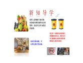 5.3 远离有毒物质 课件---2023--2024学年九年级化学鲁教版（五四学制）全一册