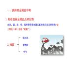 5.3 远离有毒物质 课件---2023--2024学年九年级化学鲁教版（五四学制）全一册
