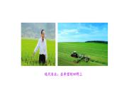 6.3 化學(xué)與農(nóng)業(yè)生產(chǎn) 課件---2023--2024學(xué)年九年級化學(xué)魯教版（五四學(xué)制）全一冊