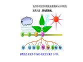 6.3 化学与农业生产 课件---2023--2024学年九年级化学鲁教版（五四学制）全一册