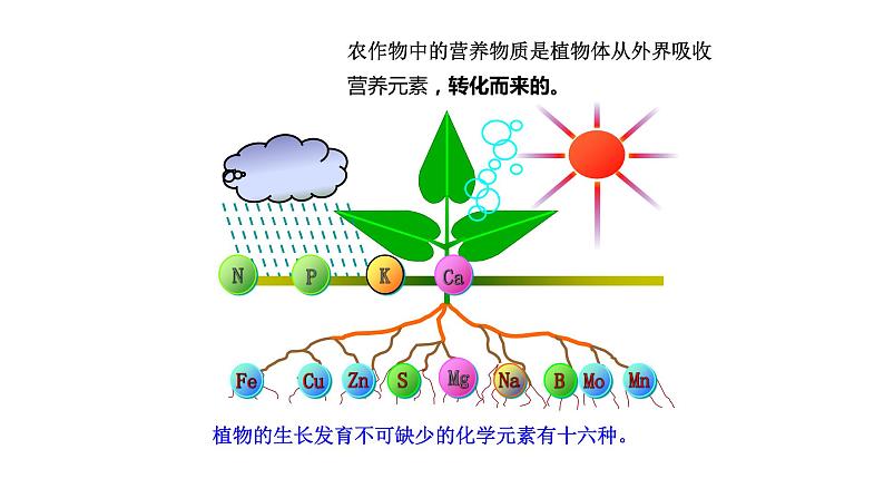 第三节  化学与农业生产第5页