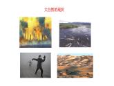 6.4 化学与环境保护 课件---2023--2024学年九年级化学鲁教版（五四学制）全一册