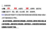 第一单元  第二节　溶液组成的定量表示 练习课件 2023--2024学年九年级化学鲁教版（五四学制）全一册