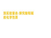 到實驗室去：探究酸和堿的化學(xué)性質(zhì) 練習(xí)課件 2023--2024學(xué)年九年級化學(xué)魯教版（五四學(xué)制）全一冊