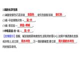 到實驗室去：探究酸和堿的化學(xué)性質(zhì) 練習(xí)課件 2023--2024學(xué)年九年級化學(xué)魯教版（五四學(xué)制）全一冊