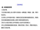 到實驗室去：探究酸和堿的化學(xué)性質(zhì) 練習(xí)課件 2023--2024學(xué)年九年級化學(xué)魯教版（五四學(xué)制）全一冊