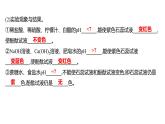 到實驗室去：探究酸和堿的化學(xué)性質(zhì) 練習(xí)課件 2023--2024學(xué)年九年級化學(xué)魯教版（五四學(xué)制）全一冊