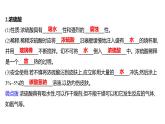 第二單元  第一節(jié)　酸及其性質(zhì) 練習(xí)課件 2023--2024學(xué)年九年級(jí)化學(xué)魯教版（五四學(xué)制）全一冊(cè)
