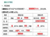 第二單元  第二節(jié)　堿及其性質(zhì) 練習(xí)課件 2023--2024學(xué)年九年級(jí)化學(xué)魯教版（五四學(xué)制）全一冊(cè)