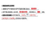 第二單元  第二節(jié)　堿及其性質(zhì) 練習(xí)課件 2023--2024學(xué)年九年級(jí)化學(xué)魯教版（五四學(xué)制）全一冊(cè)
