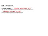 第二單元  第二節(jié)　堿及其性質(zhì) 練習(xí)課件 2023--2024學(xué)年九年級(jí)化學(xué)魯教版（五四學(xué)制）全一冊(cè)