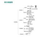 第二單元 單元復(fù)習(xí)課 練習(xí)課件 2023--2024學(xué)年九年級化學(xué)魯教版（五四學(xué)制）全一冊