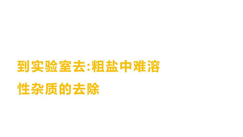 到实验室去：粗盐中难溶性杂质的去除 练习课件 2023--2024学年九年级化学鲁教版（五四学制）全一册第1页