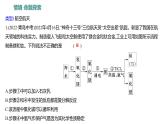 第三单元 单元复习课 练习课件 2023--2024学年九年级化学鲁教版（五四学制）全一册