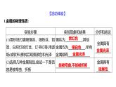 到实验室去：探究金属的性质 练习课件 2023--2024学年九年级化学鲁教版（五四学制）全一册