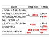 到实验室去：探究金属的性质 练习课件 2023--2024学年九年级化学鲁教版（五四学制）全一册