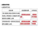 到实验室去：探究金属的性质 练习课件 2023--2024学年九年级化学鲁教版（五四学制）全一册
