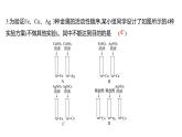 微专题二　金属活动性顺序的判断与应用 练习课件 2023--2024学年九年级化学鲁教版（五四学制）全一册
