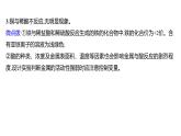 第四单元  第二节　第一课时　金属与氧气的反应　金属与酸的反应 练习课件 2023--2024学年九年级化学鲁教版（五四学制）全一册