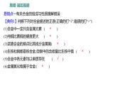 第四单元 单元复习课 练习课件 2023--2024学年九年级化学鲁教版（五四学制）全一册