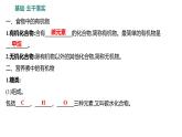 第五单元  第一节　食物中的有机物 练习课件 2023--2024学年九年级化学鲁教版（五四学制）全一册