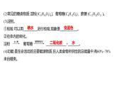第五单元  第一节　食物中的有机物 练习课件 2023--2024学年九年级化学鲁教版（五四学制）全一册