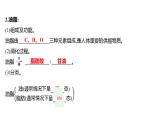 第五单元  第一节　食物中的有机物 练习课件 2023--2024学年九年级化学鲁教版（五四学制）全一册