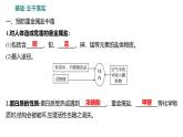 第五单元  第三节　远离有毒物质 练习课件 2023--2024学年九年级化学鲁教版（五四学制）全一册