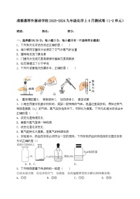 四川省成都嘉祥外国语学校2023-2024学年九年级化学9月测试卷（1-2单元）