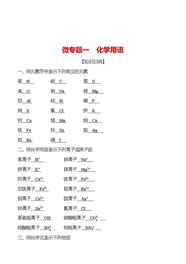 微专题一　化学用语 同步练习 （教师版）2023-2024 人教版化学九年级上册第1页