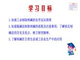 3.3 第1課時  氨堿法制純堿 課件---2023--2024學(xué)年九年級化學(xué)魯教版（五四學(xué)制）全一冊