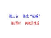 3.3 第2課時 純堿的性質(zhì) 課件---2023--2024學(xué)年九年級化學(xué)魯教版（五四學(xué)制）全一冊