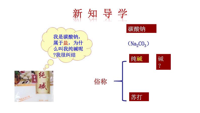 3.3 第2课时 纯碱的性质 课件---2023--2024学年九年级化学鲁教版（五四学制）全一册03