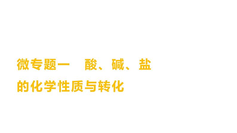 微专题一　酸、碱、盐的化学性质与转化 练习课件 2023--2024学年九年级化学鲁教版（五四学制）全一册01