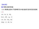 微专题一　酸、碱、盐的化学性质与转化 练习课件 2023--2024学年九年级化学鲁教版（五四学制）全一册