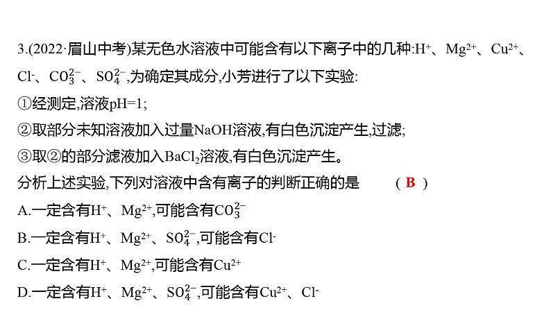 微专题一　酸、碱、盐的化学性质与转化 练习课件 2023--2024学年九年级化学鲁教版（五四学制）全一册07