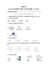 四川省攀枝花市2022-2023学年九年级下学期月考化学试卷（无答案)