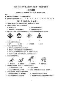 广西大学附属中学2023-2024学年九年级上学期第一次月考化学试卷（图片版无答案）