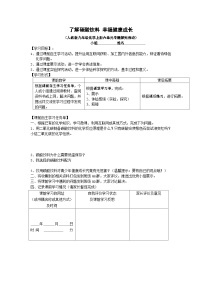 初中化学人教版九年级上册实验活动2 二氧化碳的实验室制取与性质教案