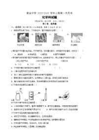 福建省上杭县紫金中学2023-2024学年九年级上学期第一次月考化学试题