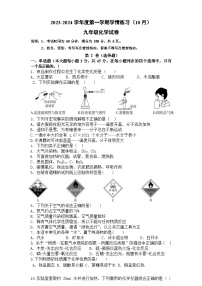 广东省茂名市高州市第一中学附属实验中学2023-2024学年九年级上学期10月月考化学试题