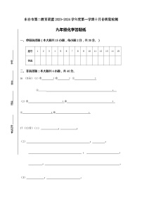 江苏省盐城市东台市第二教育联盟2023-2024学年九年级上学期10月月考化学试题（月考）