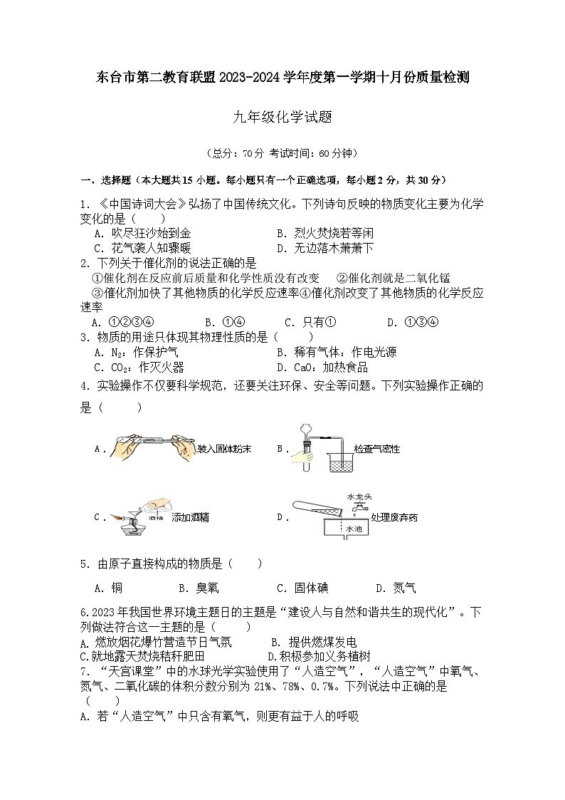 江苏省盐城市东台市第二教育联盟2023-2024学年九年级上学期10月月考化学试题（月考）01