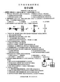 江苏省徐州市沛县2023-2024学年九年级上学期10月月考化学试题